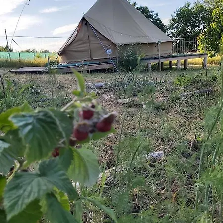 Kohegy Satrak Kicsi Luxussal